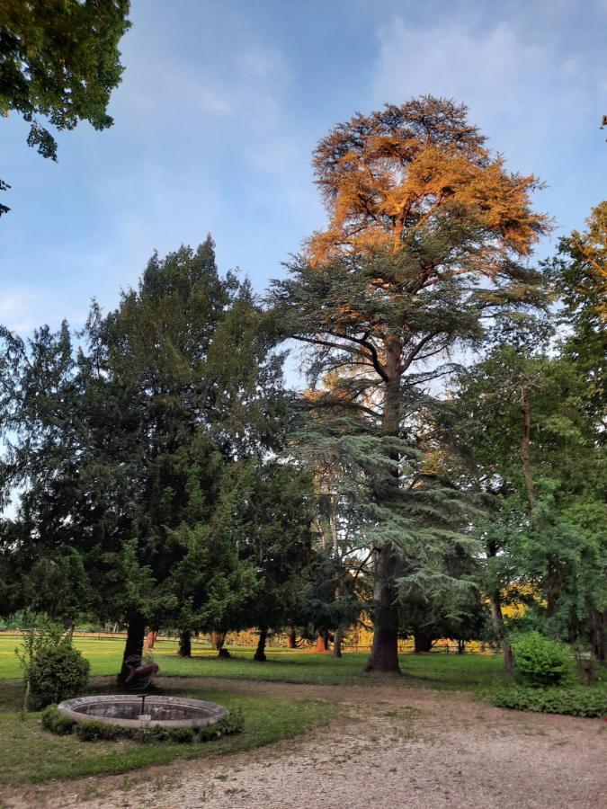 Gite De Charme A 15Mn De Bordeaux Autonomie 100% Camblanes-et-Meynac ภายนอก รูปภาพ
